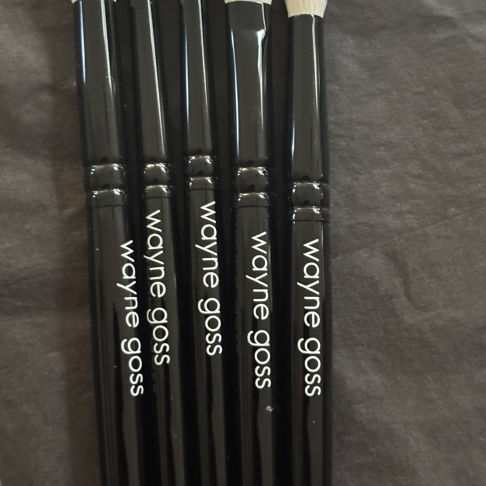 WAYNE GOSS - The Eye Set - Brushes 16 - 20 NWOB - Picture 6 of 7